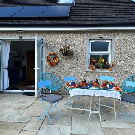 Forest Path Luxury Studio Apartment With Large Bedroom Bathroom And Sauna Sleeps Up To 4 Ballynahinch Exterior photo