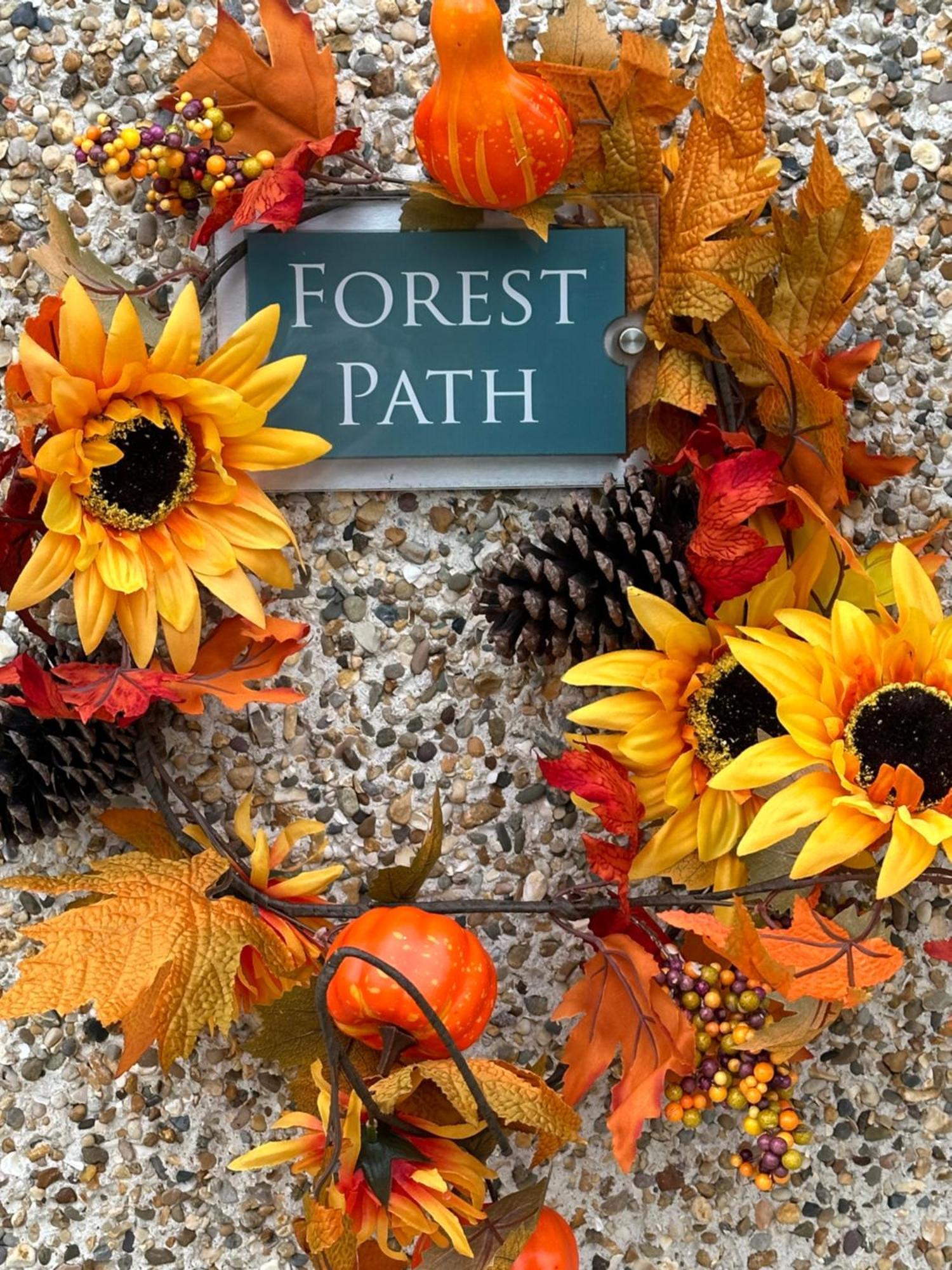 Forest Path Luxury Studio Apartment With Large Bedroom Bathroom And Sauna Sleeps Up To 4 Ballynahinch Exterior photo