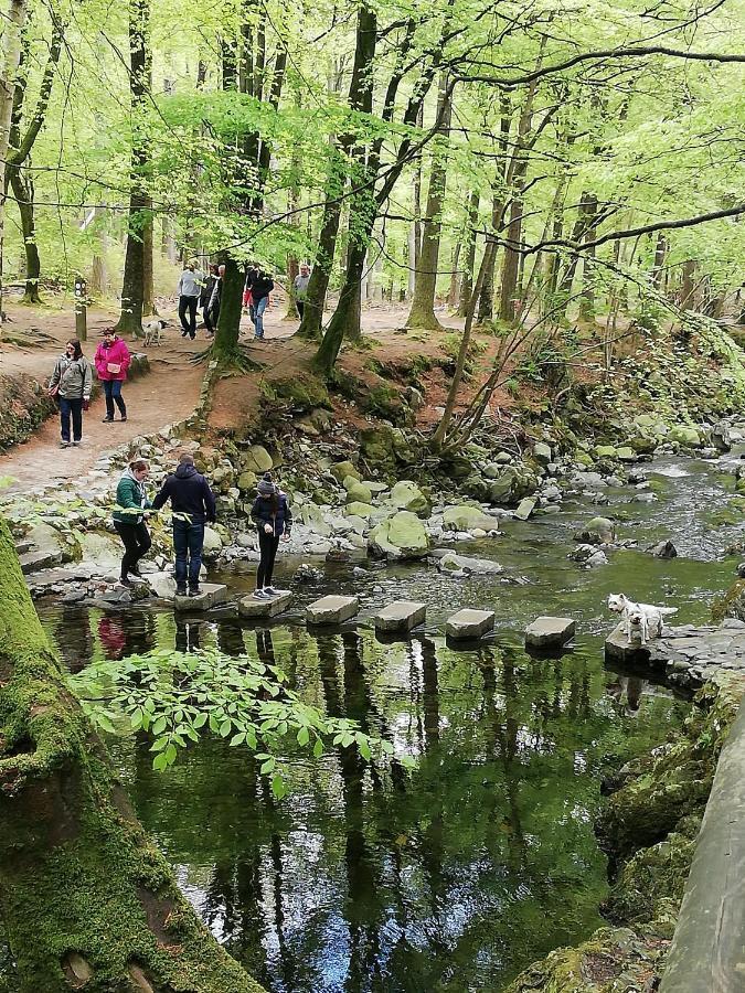 Forest Path Luxury Studio Apartment With Large Bedroom Bathroom And Sauna Sleeps Up To 4 Ballynahinch Exterior photo